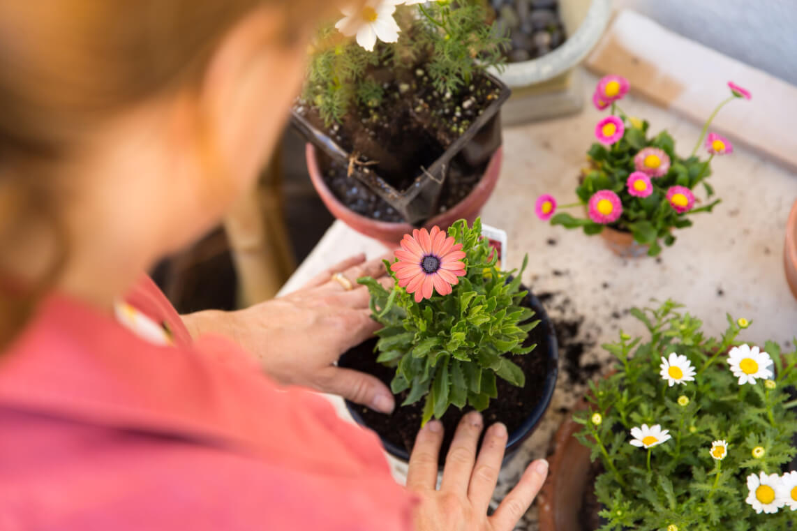 The 5 Mistakes I Made as a Rookie Flower Farmer (So You Don’t Have To) image