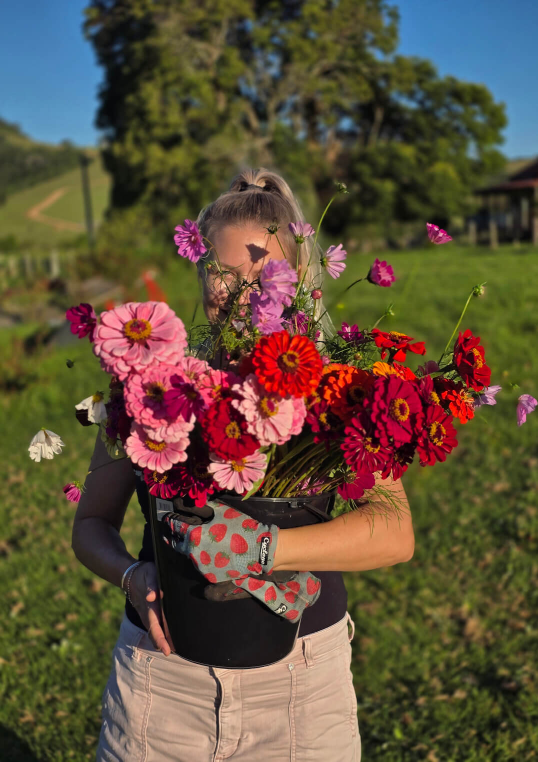 Rogue Stems Flower Farm