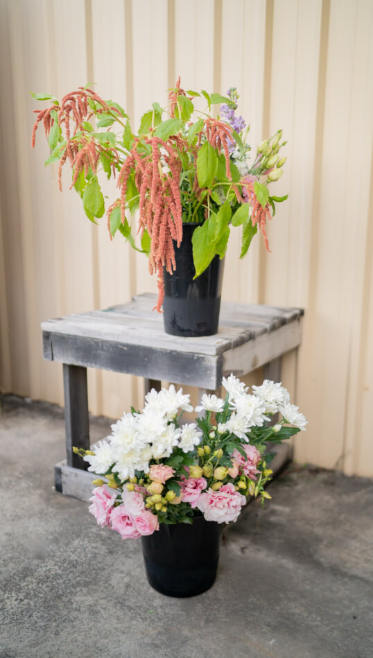 Rogue Stems Flower Farm